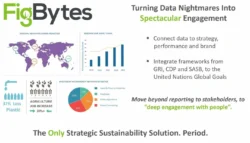 FigBytes Announces Colin Curtis as New Head of Operations in the EMEA Region