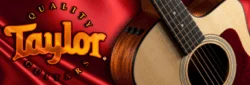 Taylor Guitars Sign On As Silver Sponsor For 2017 NY Guitar Show & Exposition
