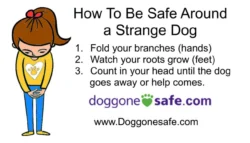 Doggone Safe relaunches educational "Be A Tree" program