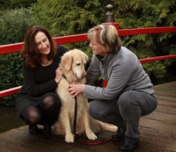 In-Depth Chakra Balancing For You and Your Animals