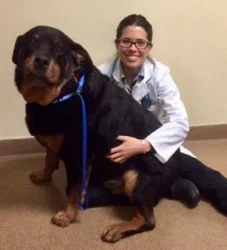 South Novato Animal Hospital Announces New Veterinarian