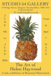 The Art of Helen Haywood. June 4th - June 30th 2017