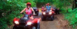 Lizard Tours is offering Fun-Filled and Adventurous Costa Rican tours