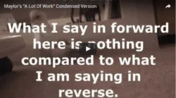 Hidden Messages Found In Budgie’s Reverse Speech