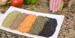 Understanding different Types of Lentils