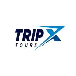 Trip X Tours Offering Efficient And Affordable Dubai Visa Processing Services