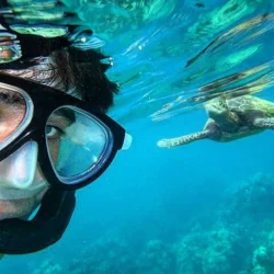Goran Visnjic Shares Photos from his Vacation on Hawaii