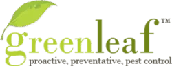 GreenLeaf Pest Control Inc. Offers Eco-Conscious Pest Control Services