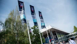 SoftGamings Attending iGB Live