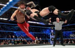 What is the future of AEW after Double or Nothing success?