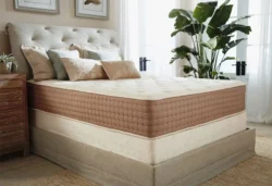 Pros and cons of a latex mattress