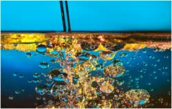 All you need to know about Oil Water and its ingredients