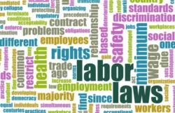 Areas of Employment Law all Businesses Should Be Aware of