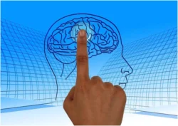 A Look at the Mental Benefits of Bingo