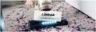 TidyChoice rated as top cleaning service in London