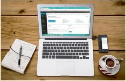 CHECK OUT THESE MOST POPULAR FREE WORDPRESS THEMES