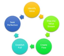 Lean Principles in the Organization