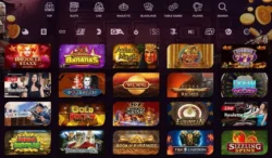 10 interesting facts about the best online casinos in Canada and around the World