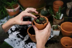 Healthiest Hobbies To Do At Home