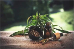 Can Pregnant Women Use CBD?