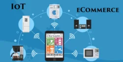 Grow Your eCommerce Business Steadily with these Techniques