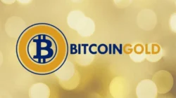 How to convert BTG to BTC