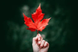 Canada Invited 5000 Immigration Candidates Making it 102,350 Invitations Issued Year-To-Date