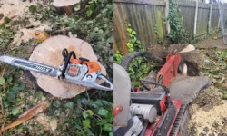 Tree Surgeon - Why Do I Need One As I Can Do It Myself