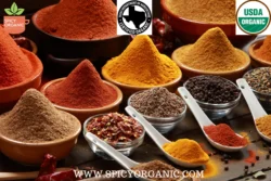 Spicy Organic Added 23 Products Expanding Their Reach With Exclusive & Quality Products Providing Diverse Options & 40 Years of Experience