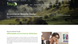 5 Small Business Website Essentials You Need for Your Site