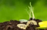 How to Make Money with your Blockchain