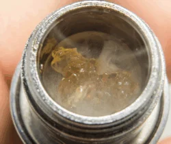 What is Terp Sauce and Where Can I Get It?