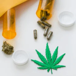 GROWING STANDARDS | Finding the Right Supplier for Your Mail-order Marijuana