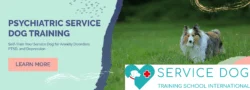 SDTSI Psychiatric Service Dog Training Upgraded to enhance Deep Pressure Techniques