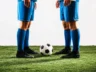 FIFA set for ‘record-breaking year’ in football revenues