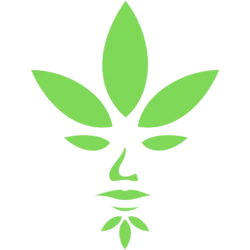 DAB Cannabis, A Cutting-edge Weed Store in Aurora Offers High-Quality Cannabis Products
