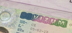How to Apply for A Schengen Visa