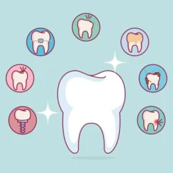 The Best Foods for a Healthy Smile
