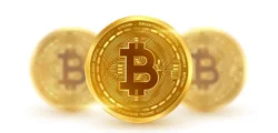 Crypto License SVG