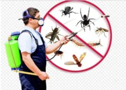 Do Cockroaches Bite & What Do Roach Bites Look Like?