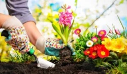 3 Tips for Making Your Time at Home More Enjoyable