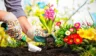 3 Tips for Making Your Time at Home More Enjoyable