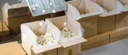 3 Tips For Preparing Items For Shipping