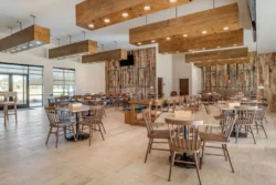 Cafe Culture - What Makes a Cafe a Great Choice for Brunch and Lunch?