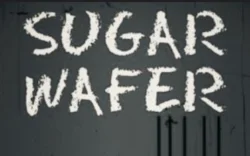 Cast members of Alien Robb's horror film "Sugar Wafer" to attend NJ EXXXOTICA Nov. 3-5 Edison NJ