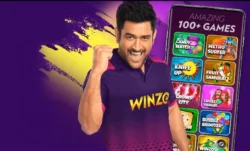 WinZO Secures Delhi High Court Injunction Against Fake Websites, Strengthens Consumer Protection