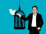 Elon Musk and the SEC Probe: A Closer Look at the Twitter Takeover
