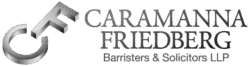 Caramanna, Friedberg LLP, Provides Theft and Professional Regulation Lawyers