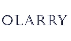 OLarry Raises $10 Million Series A to Scale AI-Powered Tax Advisory for High-Net-Worth Clients