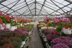 Greenhouse Growing All Year: Yep, You Can Really Do It
